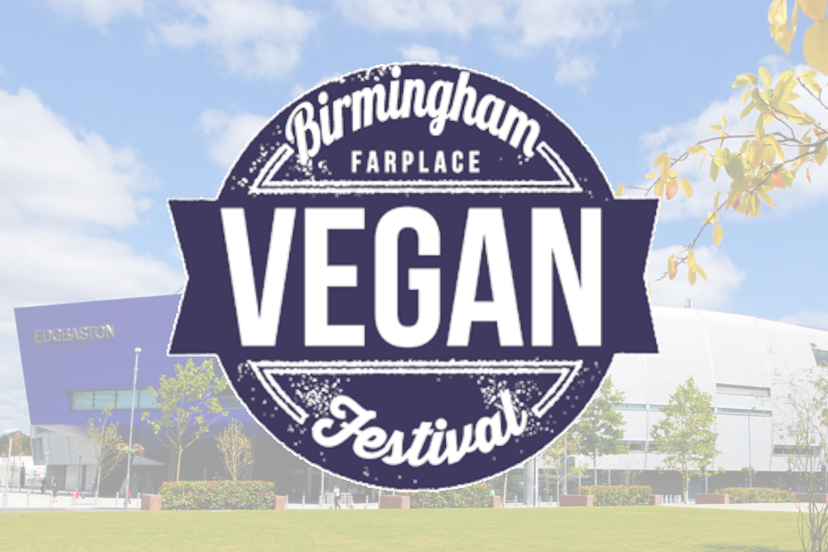 EVENT Birmingham Vegan Festival 2022 Glitzy Vintage Jewellery